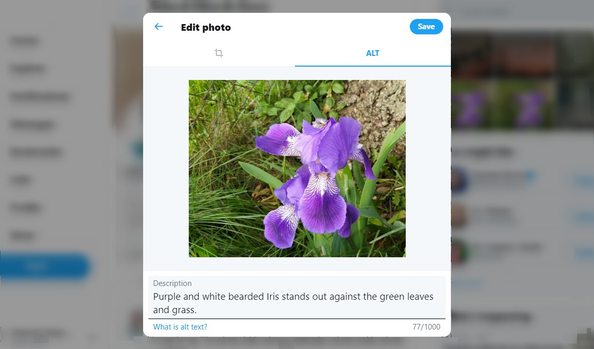 Twitter alt text dialog showing a flower and its description being introduced